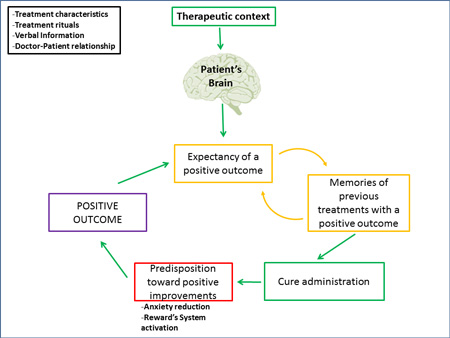 EXPECTATIONS AND PLACEBO